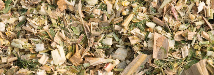 siliermitteleinsatz haltbarkeit maissilage siliermitteleinsatz haltbarkeit maissilage